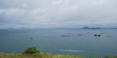 【广东】阳江沙扒湾海天度假邨项目前期考察顺利结束