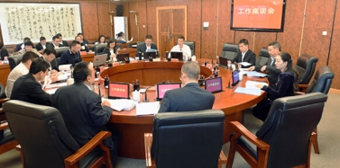 【成都】成都文旅五凤溪项目汇报圆满结束