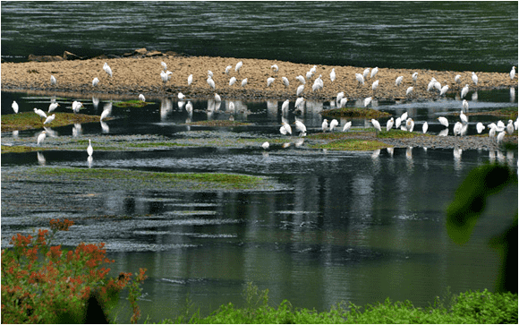 湖南耒水国家湿地公园PPP项目