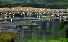 湖南耒水国家湿地公园